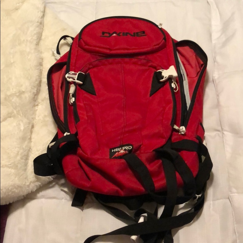Dakine Winter Backpack